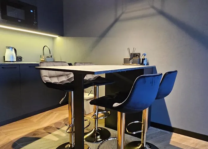 Black In Palangos Loftai * Palanga