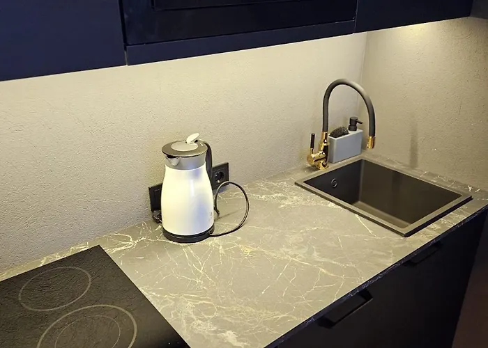 Black In Palangos Loftai アパート