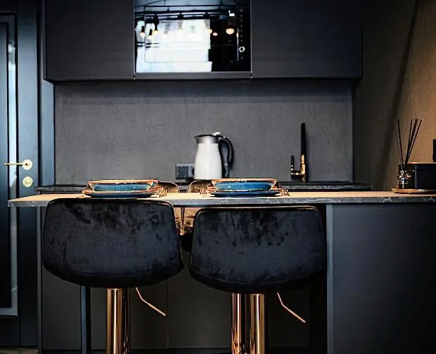 Apartamento Black In Palangos Loftai *